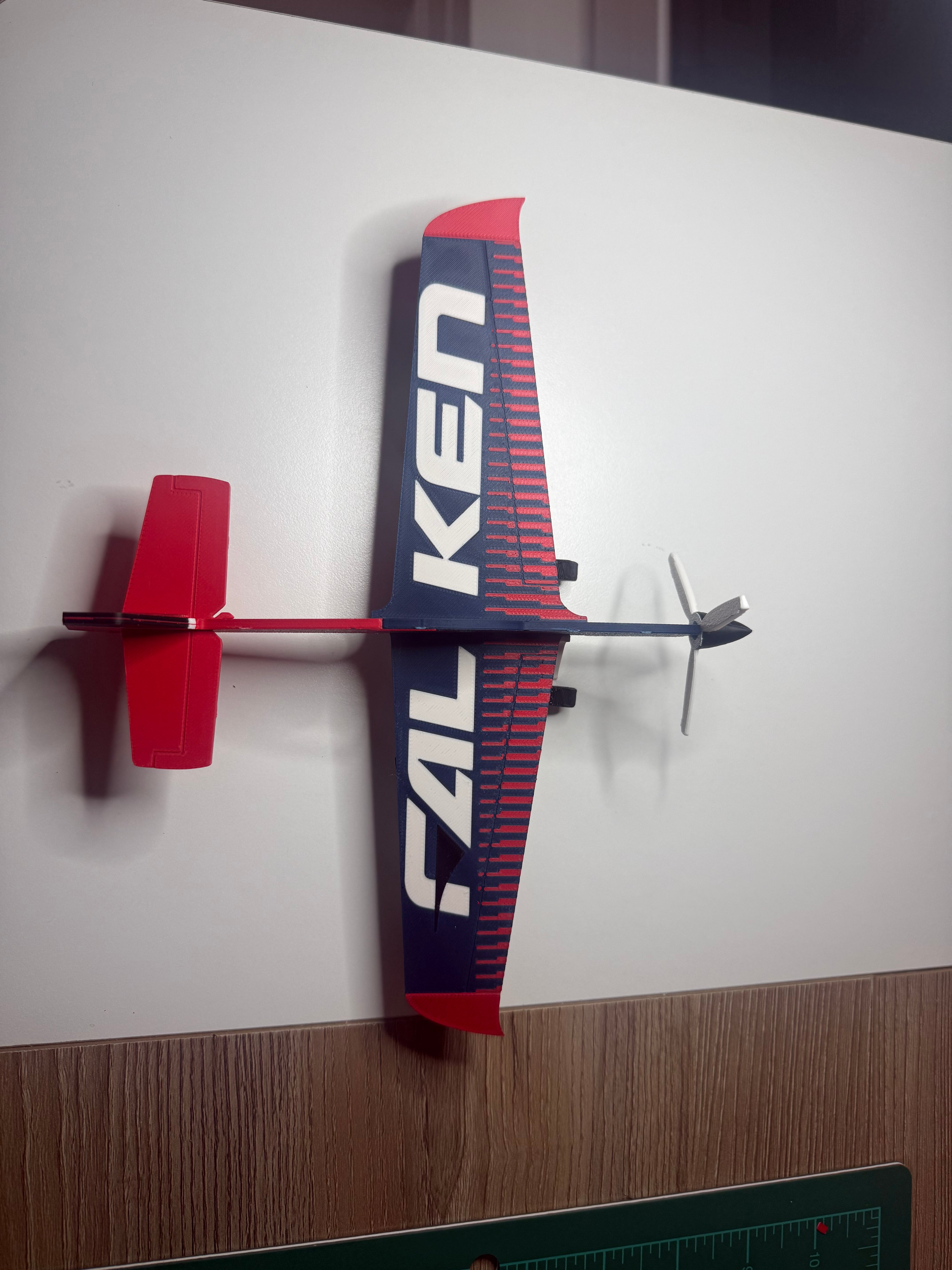 MXS-R Falken Aerobatic Plane 3D Printed Model | RC Airplane Display Build