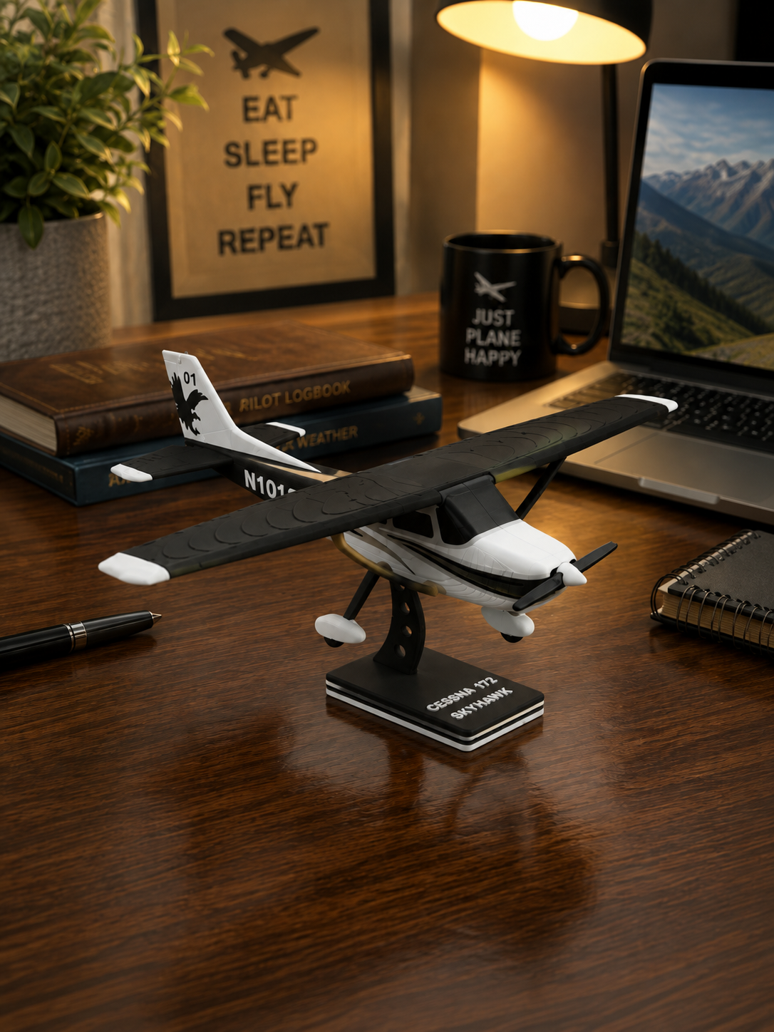3D Printed Cessna 172 Skyhawk Model Kit Display
